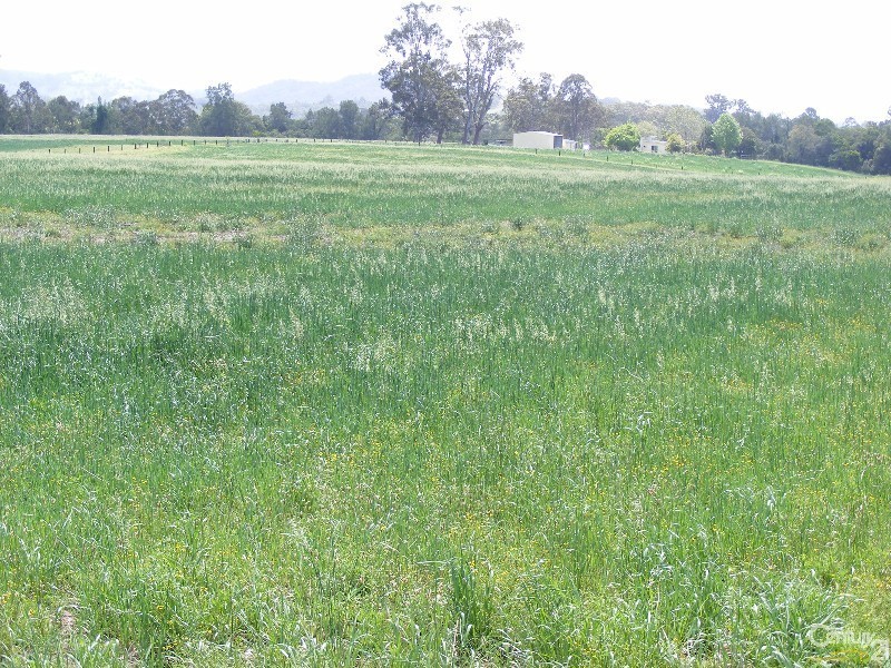 195 Gloucester Road, Burrell Creek NSW 2429