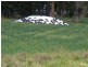 195 Gloucester Road, Burrell Creek NSW 2429