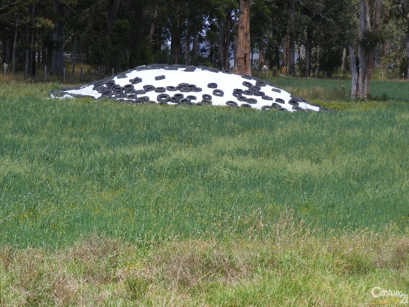 195 Gloucester Road, Burrell Creek NSW 2429