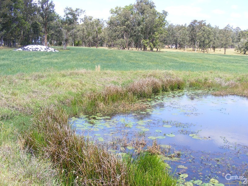 195 Gloucester Road, Burrell Creek NSW 2429