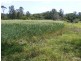 195 Gloucester Road, Burrell Creek NSW 2429