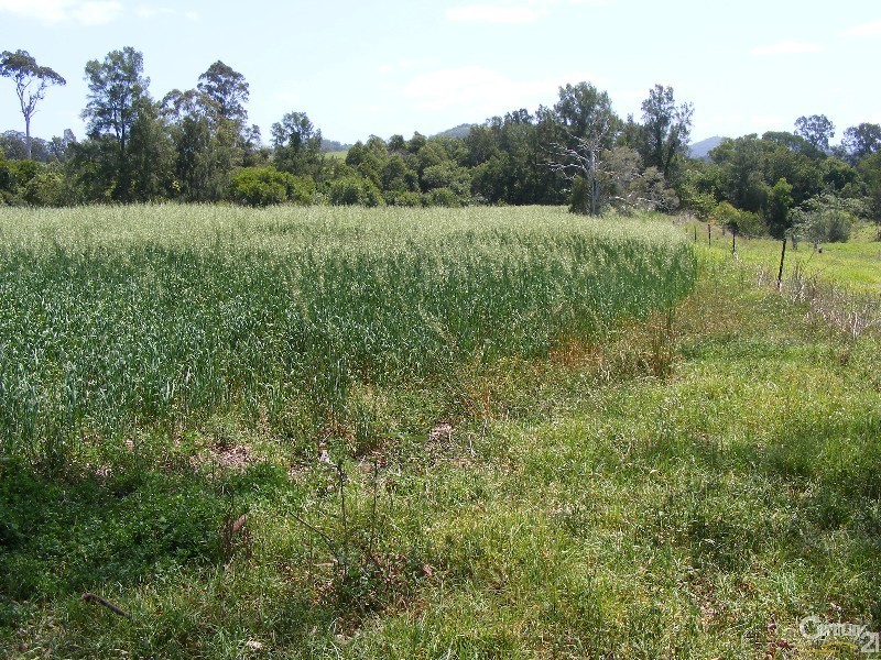 195 Gloucester Road, Burrell Creek NSW 2429