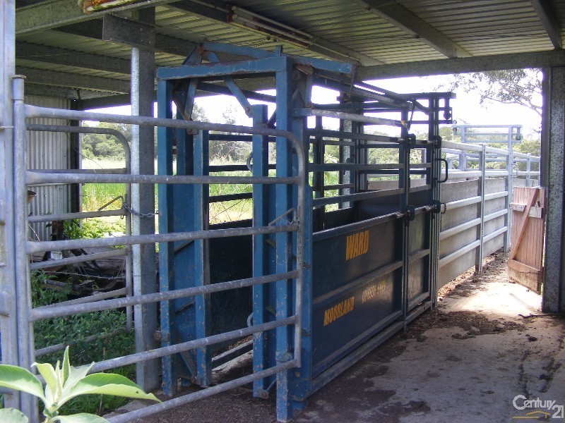 195 Gloucester Road, Burrell Creek NSW 2429