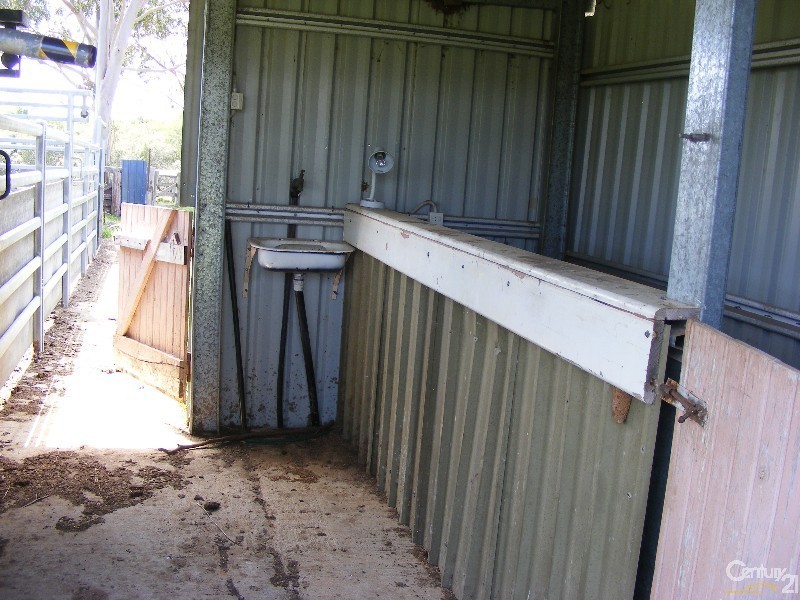 195 Gloucester Road, Burrell Creek NSW 2429