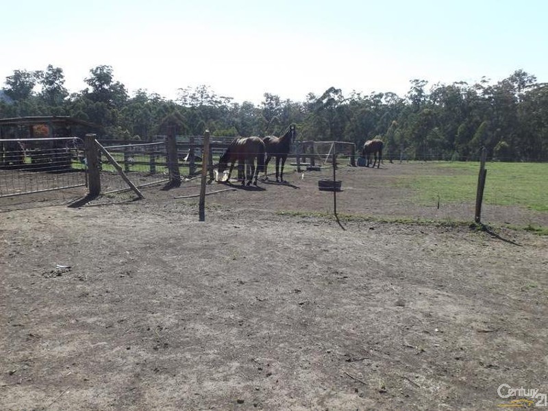 345 Careys Road, Hillville NSW 2430