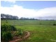 700 Manning Point Road, Oxley Island NSW 2430