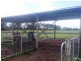 700 Manning Point Road, Oxley Island NSW 2430