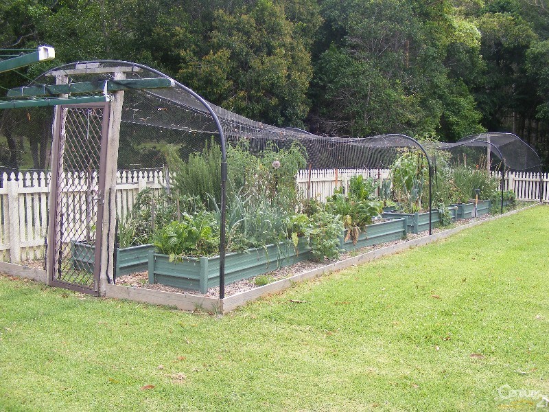 540 Locketts Crossing Road, Coolongolook NSW 2423