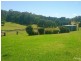 3734 The Bucketts Way, Krambach NSW 2429