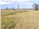 6 Plantation Lane, Cedar Party NSW 2429