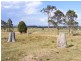 6 Plantation Lane, Cedar Party NSW 2429