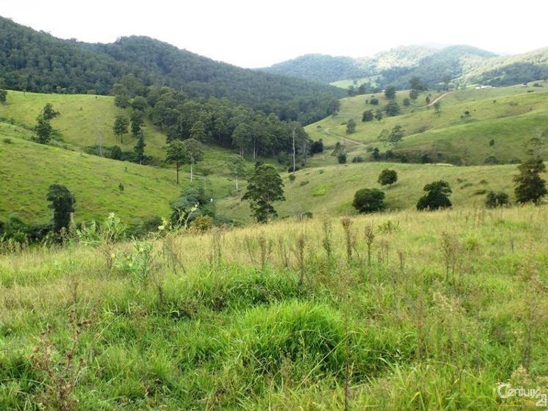 507 Stoney Creek Road, Kimbriki NSW 2429