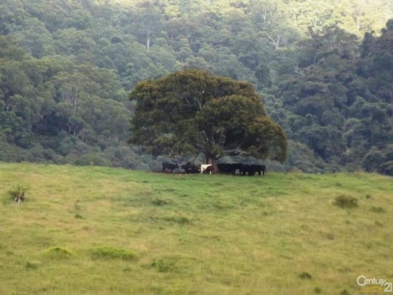 507 Stoney Creek Road, Kimbriki NSW 2429