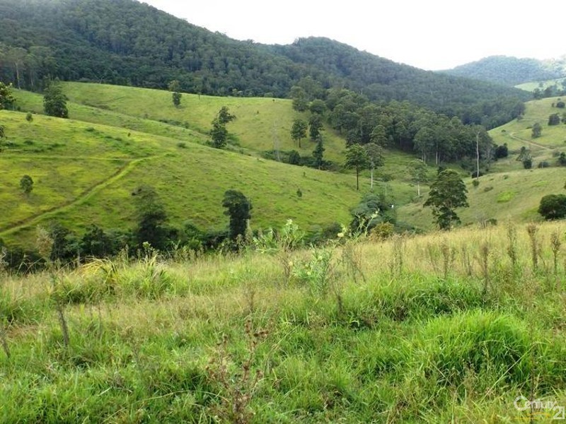 507 Stoney Creek Road, Kimbriki NSW 2429