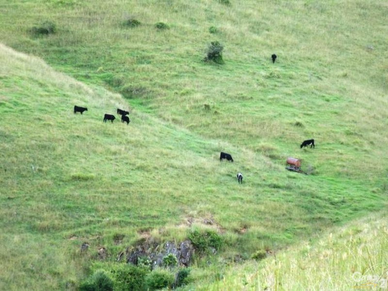 507 Stoney Creek Road, Kimbriki NSW 2429