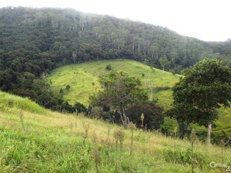 507 Stoney Creek Road, Kimbriki NSW 2429