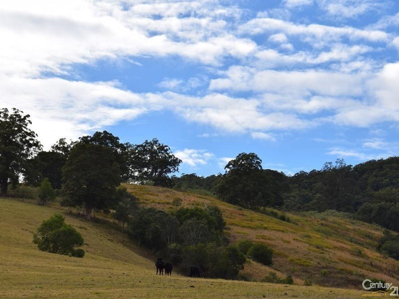 RMB Middlebrook Road, Marlee NSW 2429