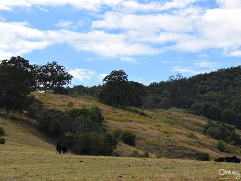 36 Robinson Road, Marlee NSW 2429