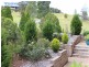 Tallwoods Village NSW 2430