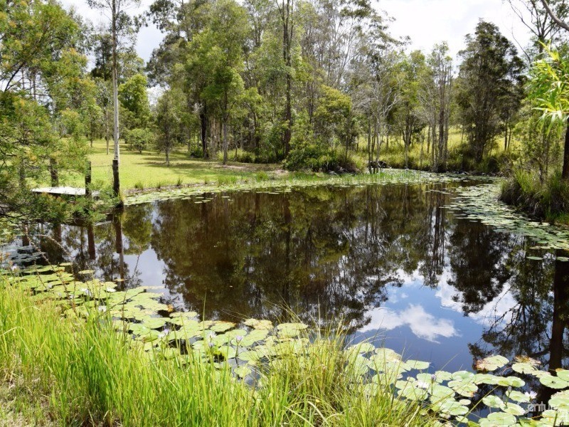 1241 Comboyne Road, Killabakh NSW 2429