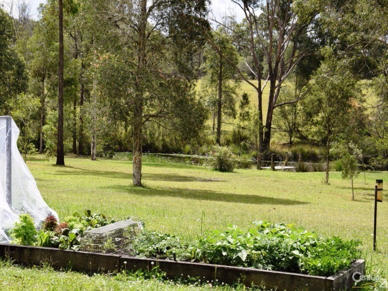 1241 Comboyne Road, Killabakh NSW 2429