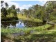 1241 Comboyne Road, Killabakh NSW 2429