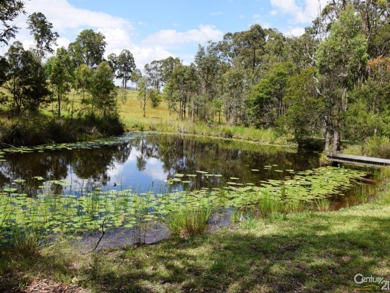 1241 Comboyne Road, Killabakh NSW 2429