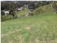 8 St Andrews Court, Tallwoods Village NSW 2430