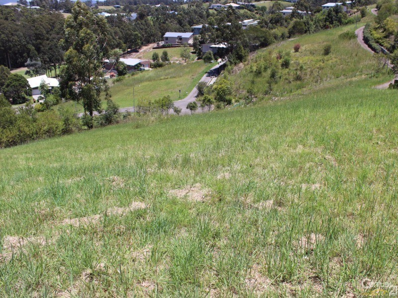 8 St Andrews Court, Tallwoods Village NSW 2430