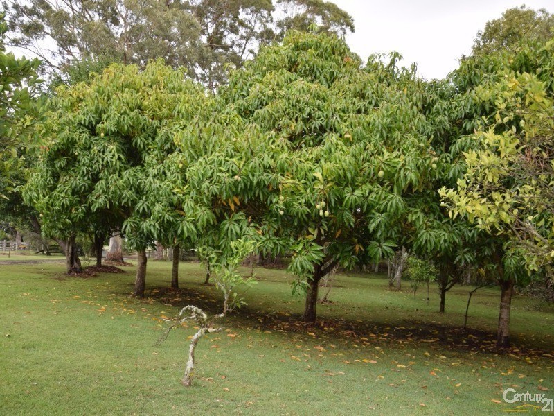 48 North Moto Road, Jones Island NSW 2430