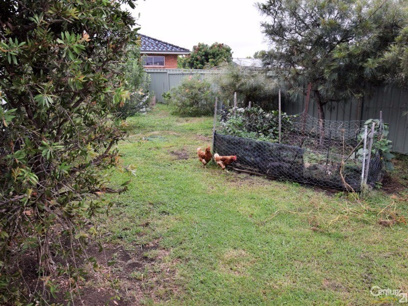 72 Cowper Street, Taree NSW 2430