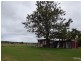 752 Comboyne Road, Cedar Party NSW 2429