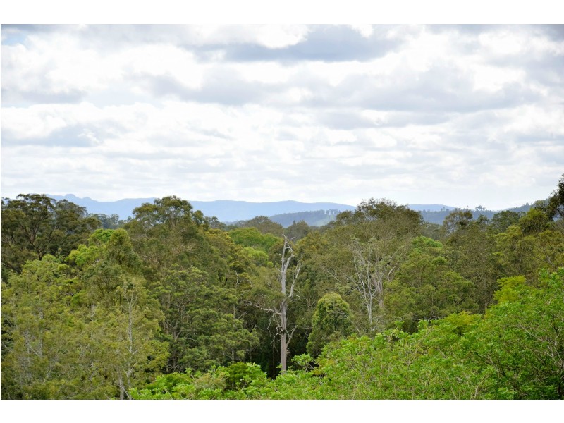 11 Abbotts Falls Road, Wingham NSW 2429