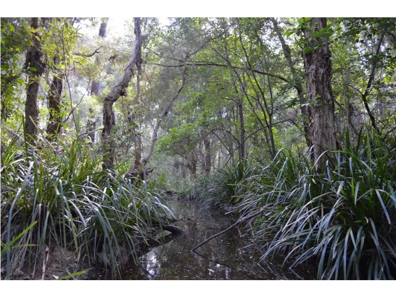 65 Ricketts Road, Cedar Party NSW 2429