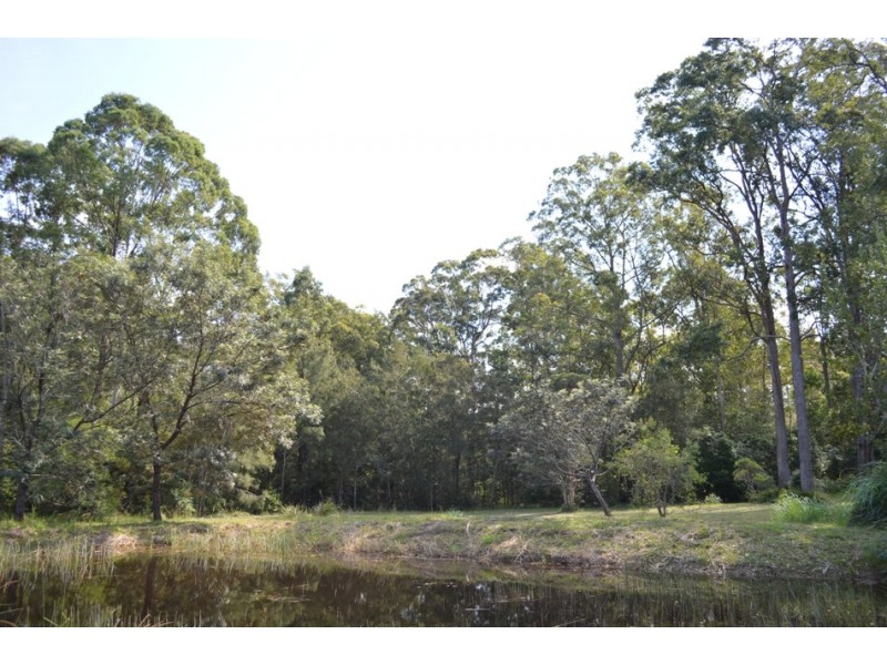 65 Ricketts Road, Cedar Party NSW 2429