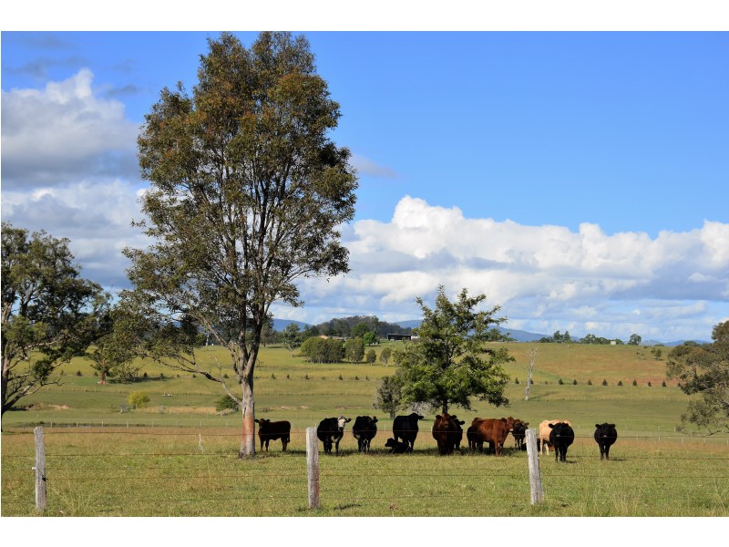 27 Plantation Lane, Wingham NSW 2429