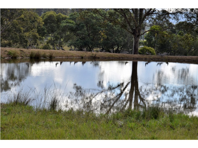 27 Plantation Lane, Wingham NSW 2429