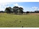 360 Lansdowne Road, Cundletown NSW 2430