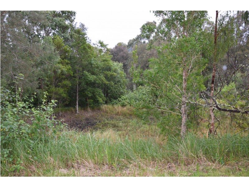 2002 Nowendoc Road, Mount George NSW 2424