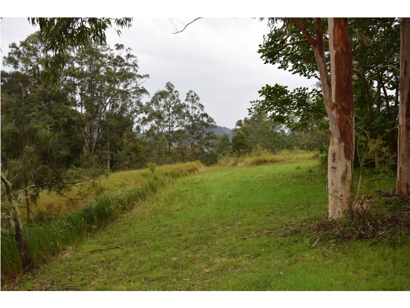 2002 Nowendoc Road, Mount George NSW 2424