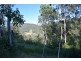 2002 Nowendoc Road, Mount George NSW 2424