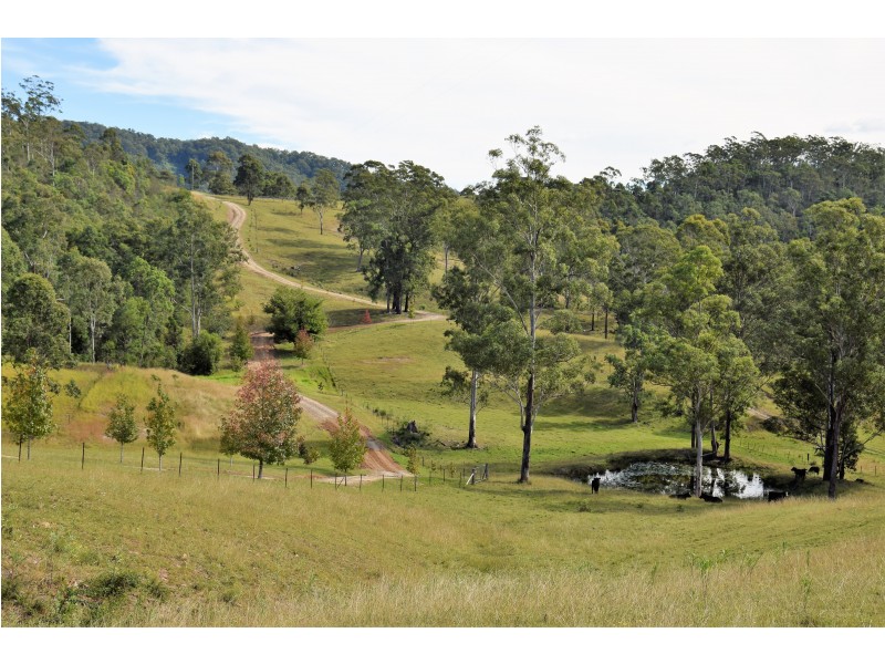 Wherrol Flat NSW 2429