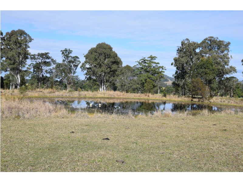 935 Comboyne Road, Cedar Party NSW 2429