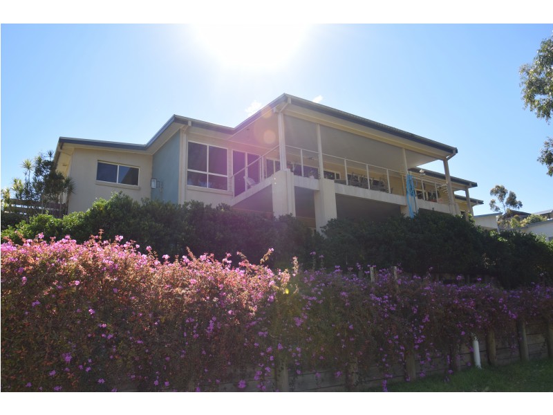 49 Hilltop Parkway, Tallwoods Village NSW 2430