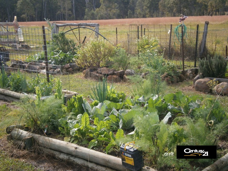 1016 Lansdowne Road, Melinga NSW 2430