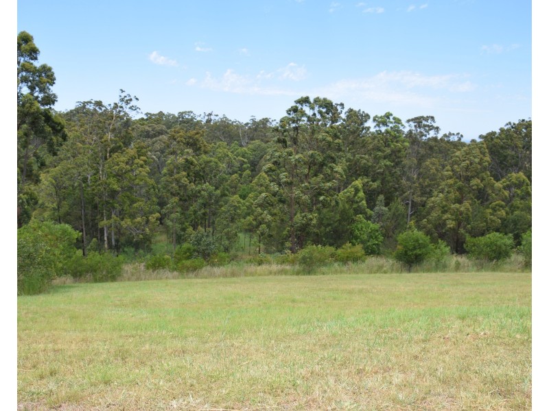 9 Gum Blossom Place, Tallwoods Village NSW 2430