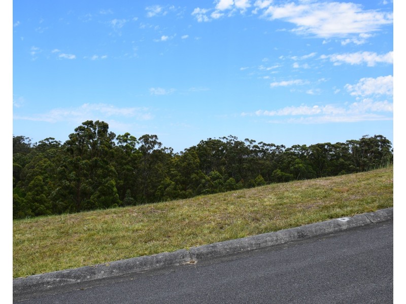 9 Gum Blossom Place, Tallwoods Village NSW 2430