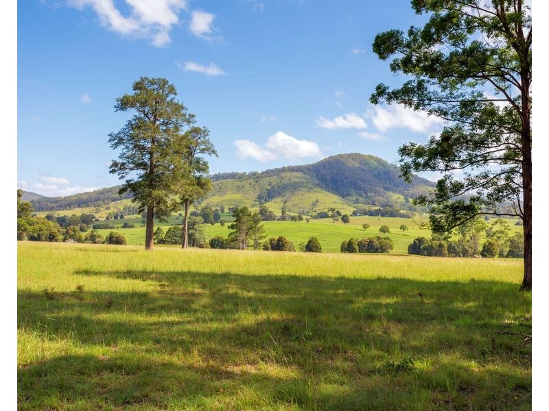 423 Comboyne Road, Wingham NSW 2429