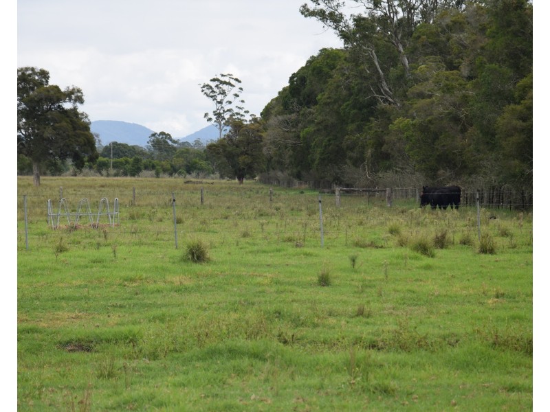 55 Barlins Lane, Lansdowne NSW 2430