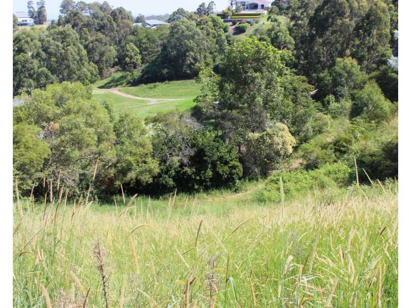 11 Cape View Way, Tallwoods Village NSW 2430